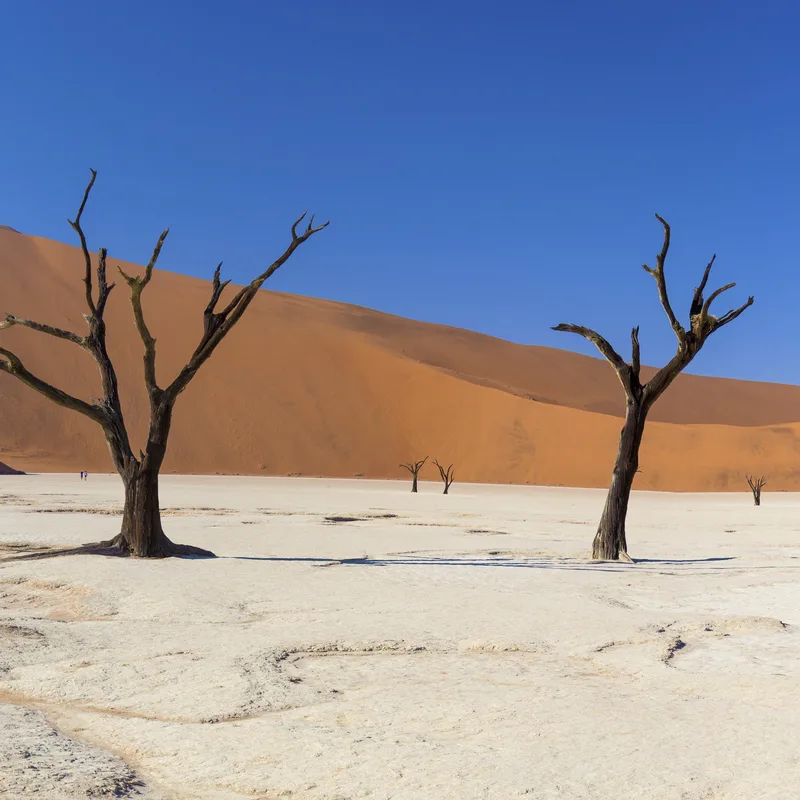 Dunes du désert de Namibie